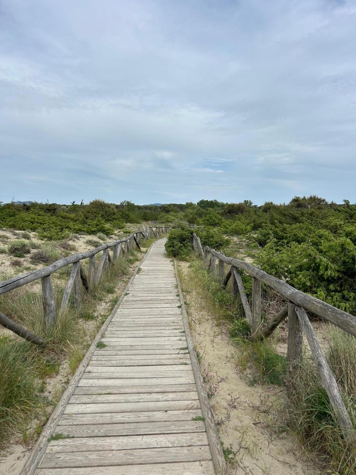 Il Mio Piccolo Angolo Di Mare Viareggio Ngoại thất bức ảnh