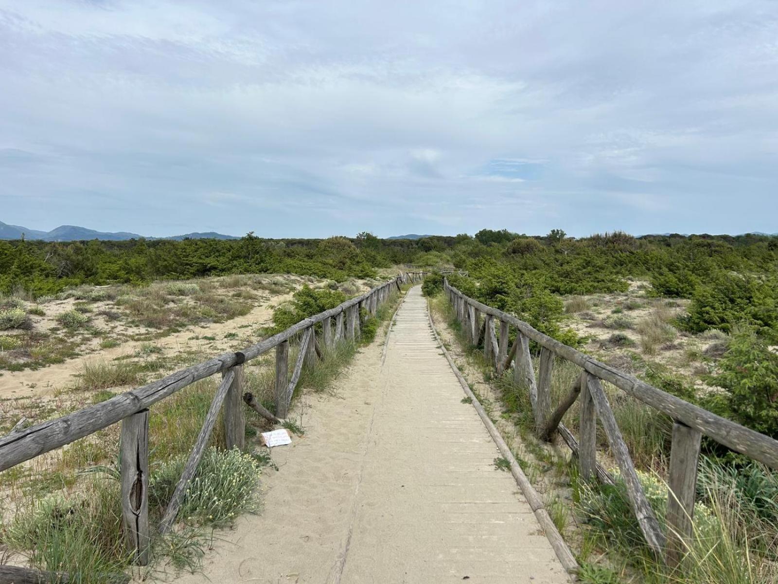 Il Mio Piccolo Angolo Di Mare Viareggio Ngoại thất bức ảnh